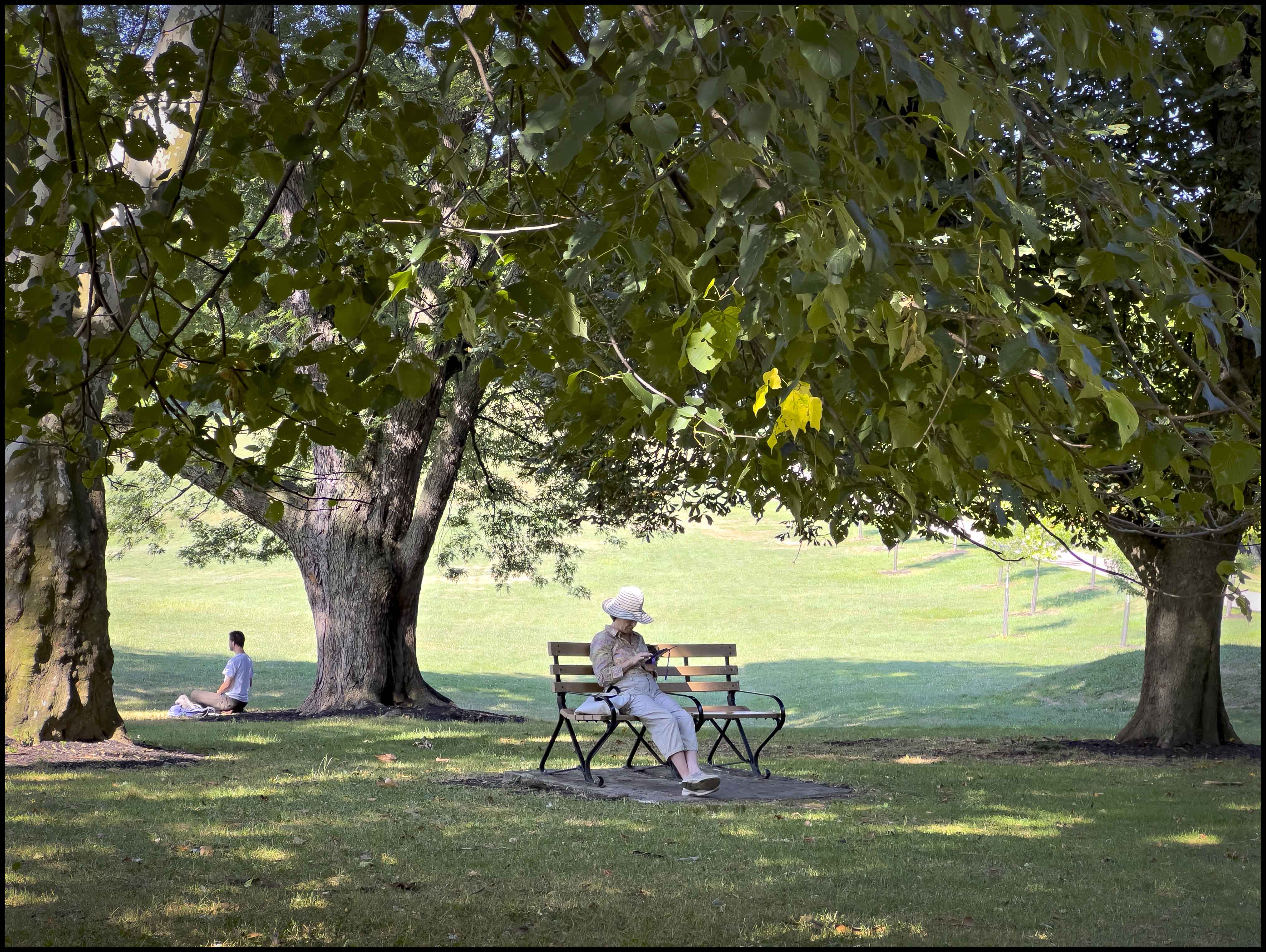Pittsburgh parks 17th in national ranking - Vimarsana News